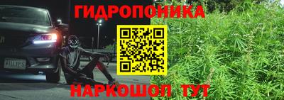 стафф Бийск