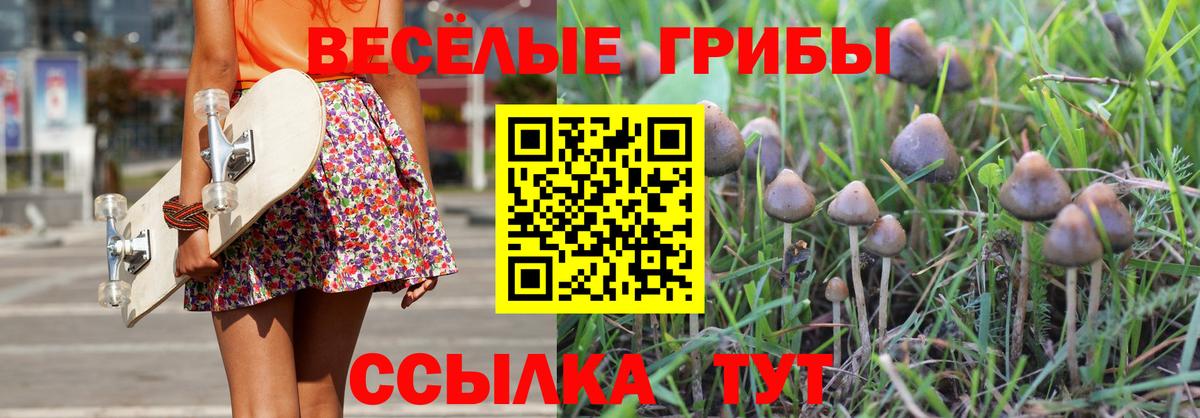 Псилоцибиновые грибы мухоморы Чайковский