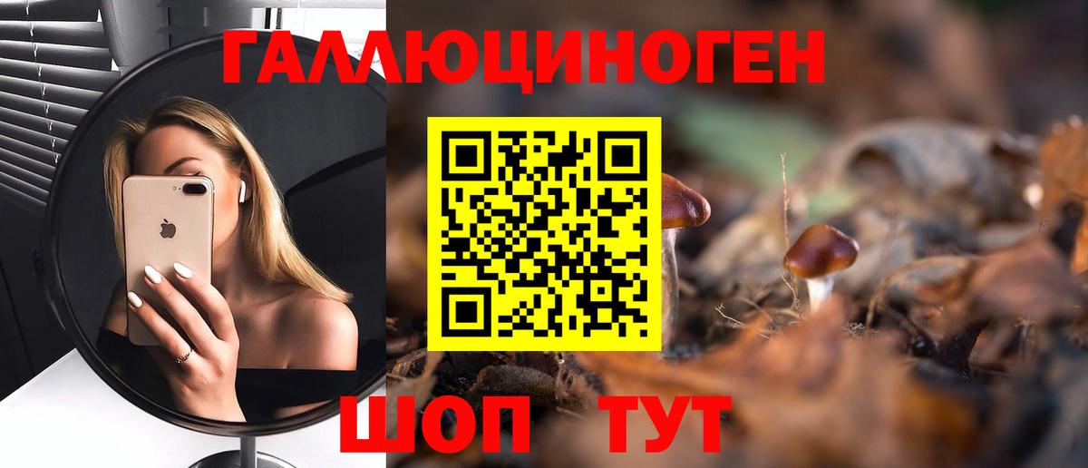 Псилоцибиновые грибы Magic Shrooms  Чайковский  Псилоцибиновые грибы Psilocybine cubensis 